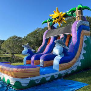 Dolphin Island Waterslide